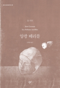 앙팡 떼리블 (창비세계문학 48)